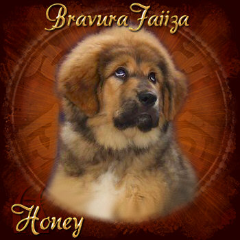 Honey