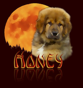 Honey