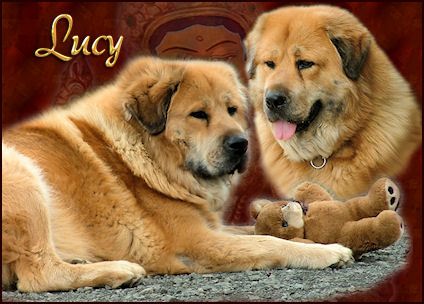 Lucy