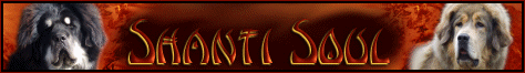 Shanti Soul Banner
