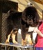 Image00001