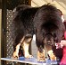Image00002