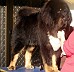 Image00003