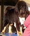 Image00004