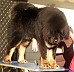 Image00005