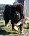 Image00008