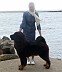 Image00012