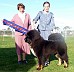 Image00013