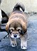 Image00002