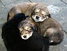 Image00003