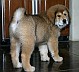 Image00004