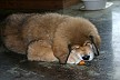 Image00005