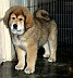 Image00007