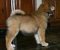 Image00009