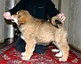 Image00010