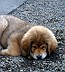Image00012