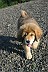 Image00013