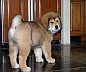 Image00014