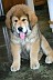 Image00015