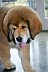 Image00016