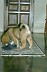 Image00017