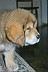 Image00018