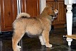 Image00019