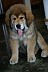 Image00020
