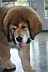 Image00021