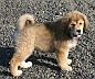 Image00022