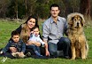 GoldieFamily