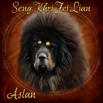 Aslan