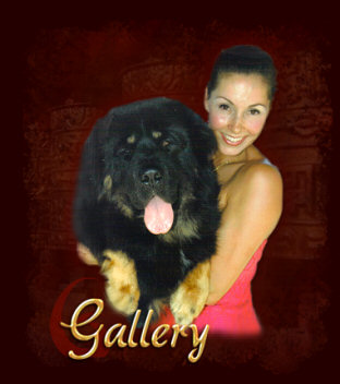 Photo Gallery