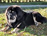 Image00001