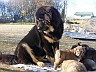 Image00006